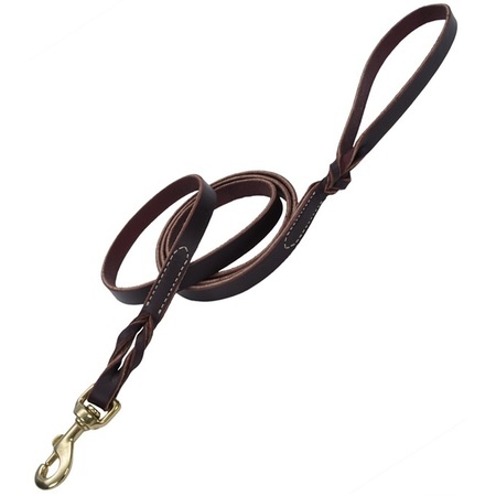 COASTAL PET Coastal Latigo Leather Twist Dog Leash with Solid Brass 5/8” 3814